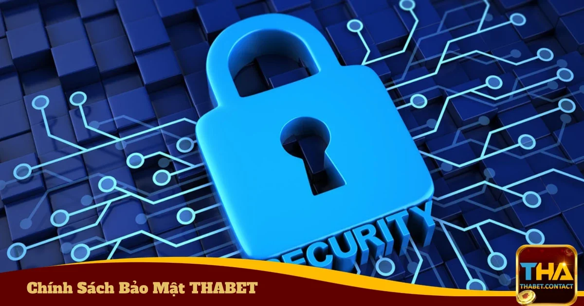 Chính Sách Bảo Mật THABET - Bảo Vệ Thông Tin Khách Hàng 2 Các thông tin mà THABET thu thập