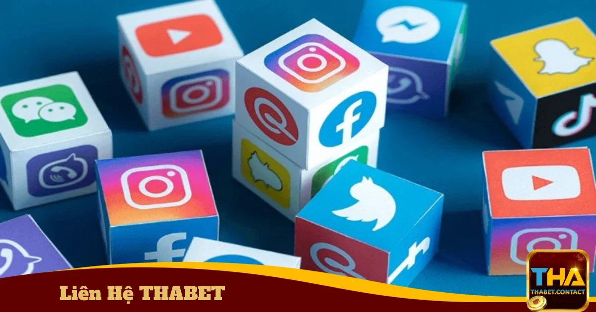Các kênh liên hệ chính thức của THABET