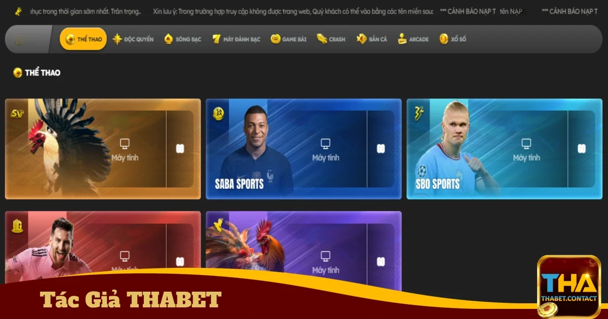 Tác Giả THABET - Người Kiến Tạo Nền Tảng Cá Cược Uy Tín 4 Triết lý của Michael Anderson về THABET