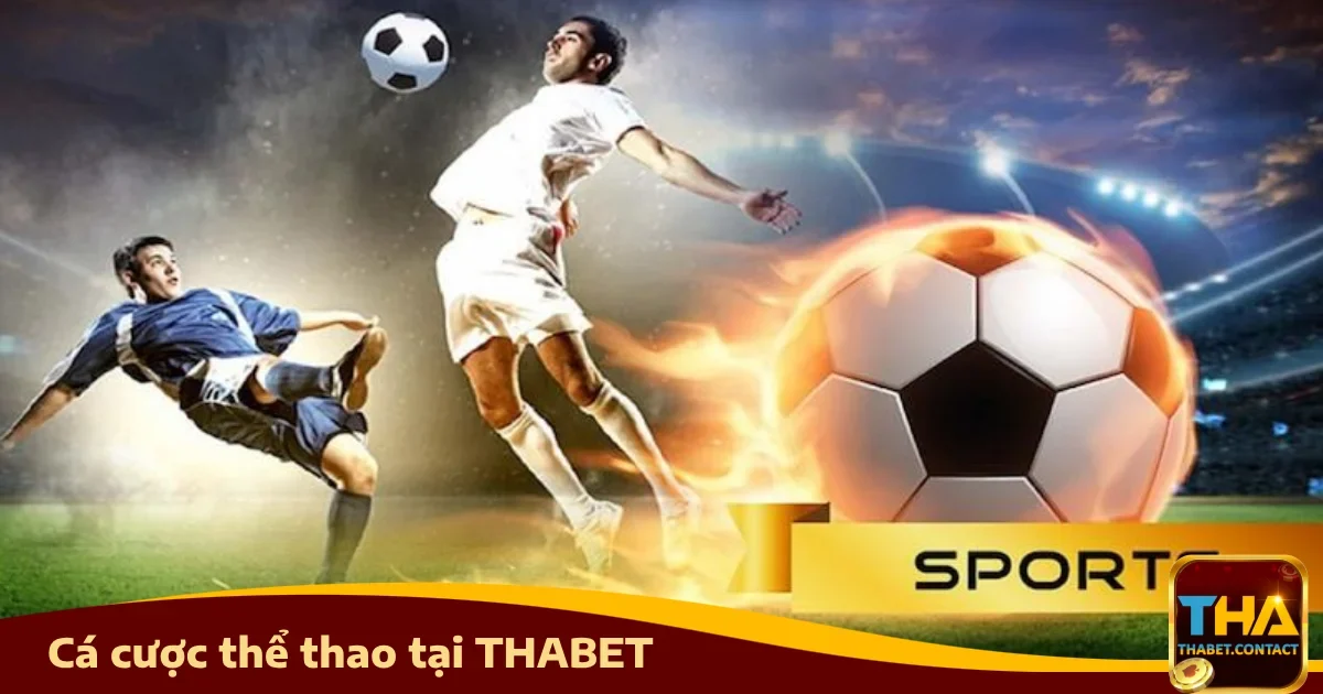 Điều gì làm Thể thao Thabet trở nên khác biệt?