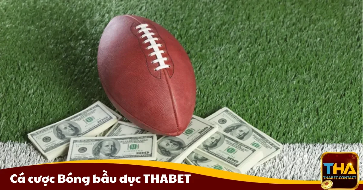 Cá cược bóng bầu dục THABET là gì? Hướng dẫn cách chơi chi tiết