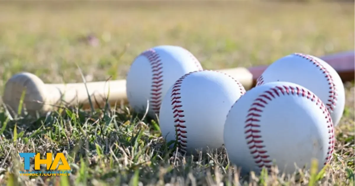 Cá cược bóng chày THABET là gì? Hiểu rõ luật chơi và cách đặt cược