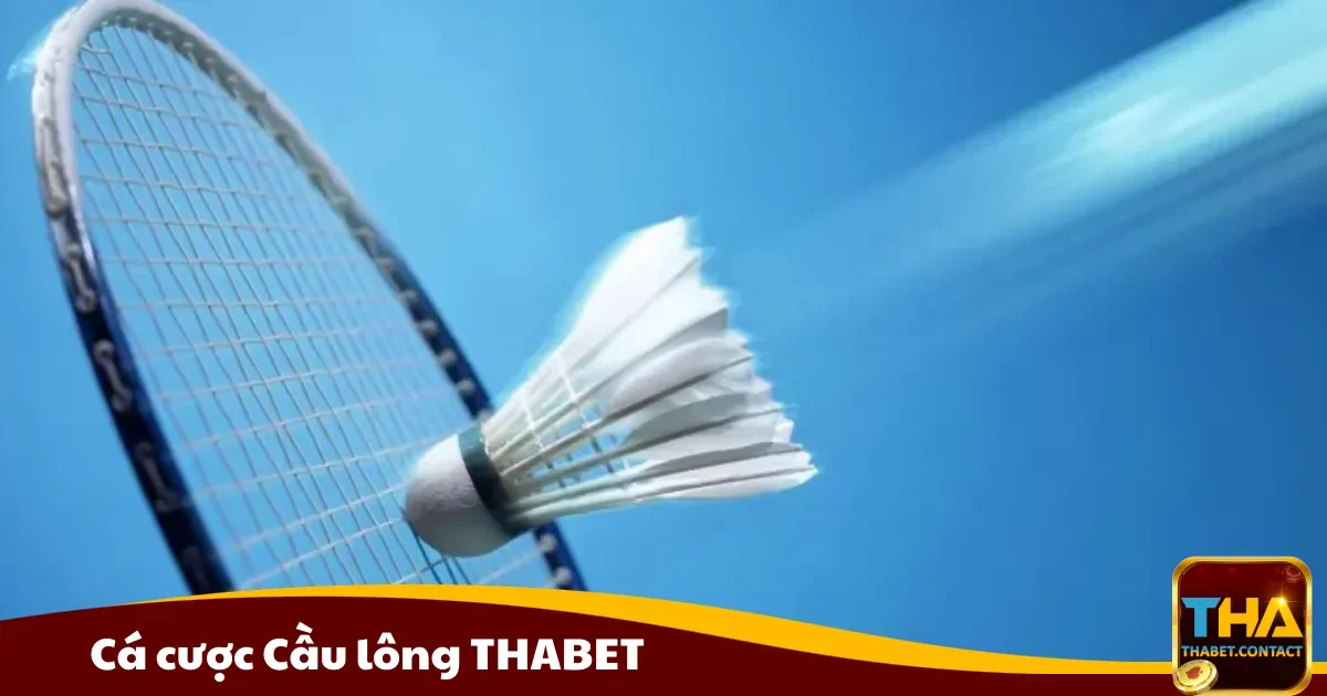 Cá cược Cầu lông THABET: Hướng dẫn chọn kèo chính xác