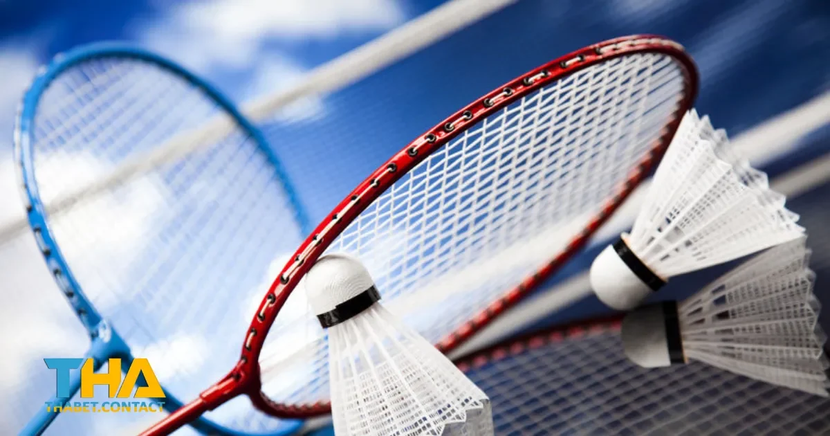 Cá cược cầu lông THABET là gì? Các loại kèo phổ biến cần biết