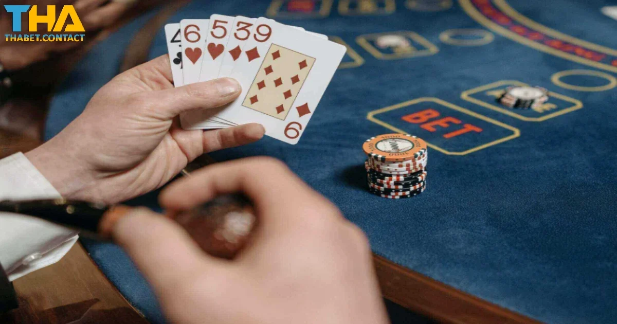 Trải nghiệm đặt cược với cửa Tie cùng cơ hội thắng lớn