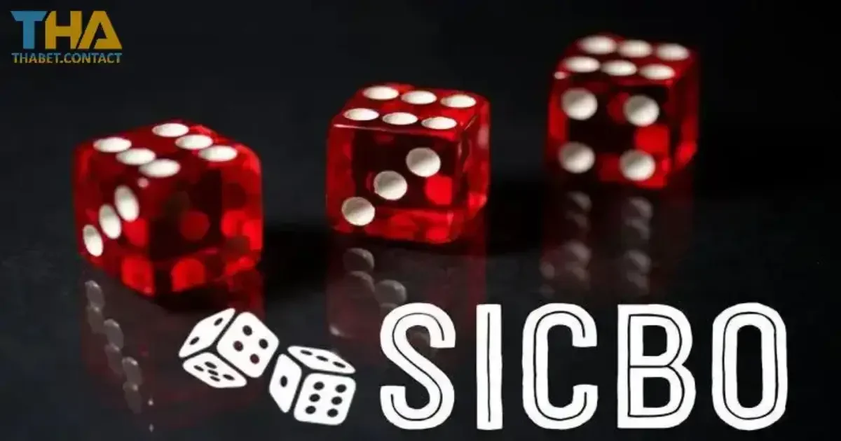 Các loại cược khi chơi Sicbo Thabet