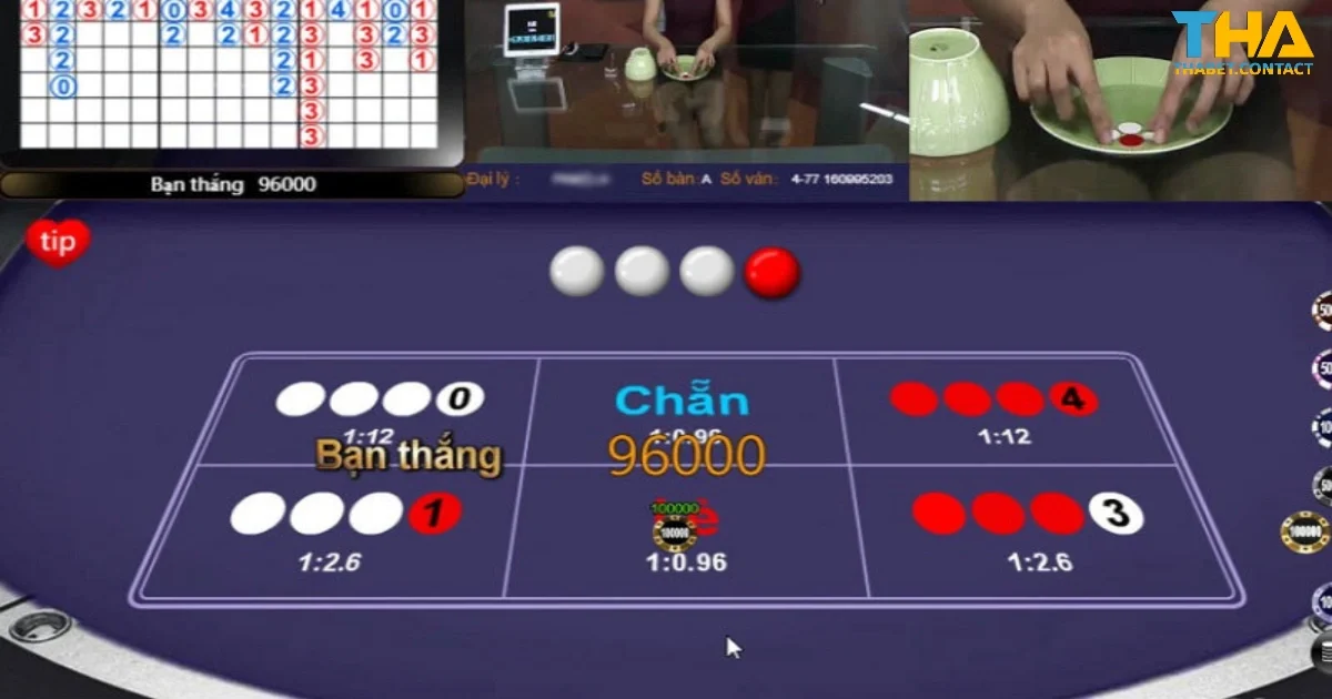 Kinh Nghiệm Chơi Xóc Đĩa THABET Nâng Cao Tỷ Lệ Thắng 2 Kinh nghiệm chơi Xóc đĩa THABET với cơ hội gia tăng thắng lớn